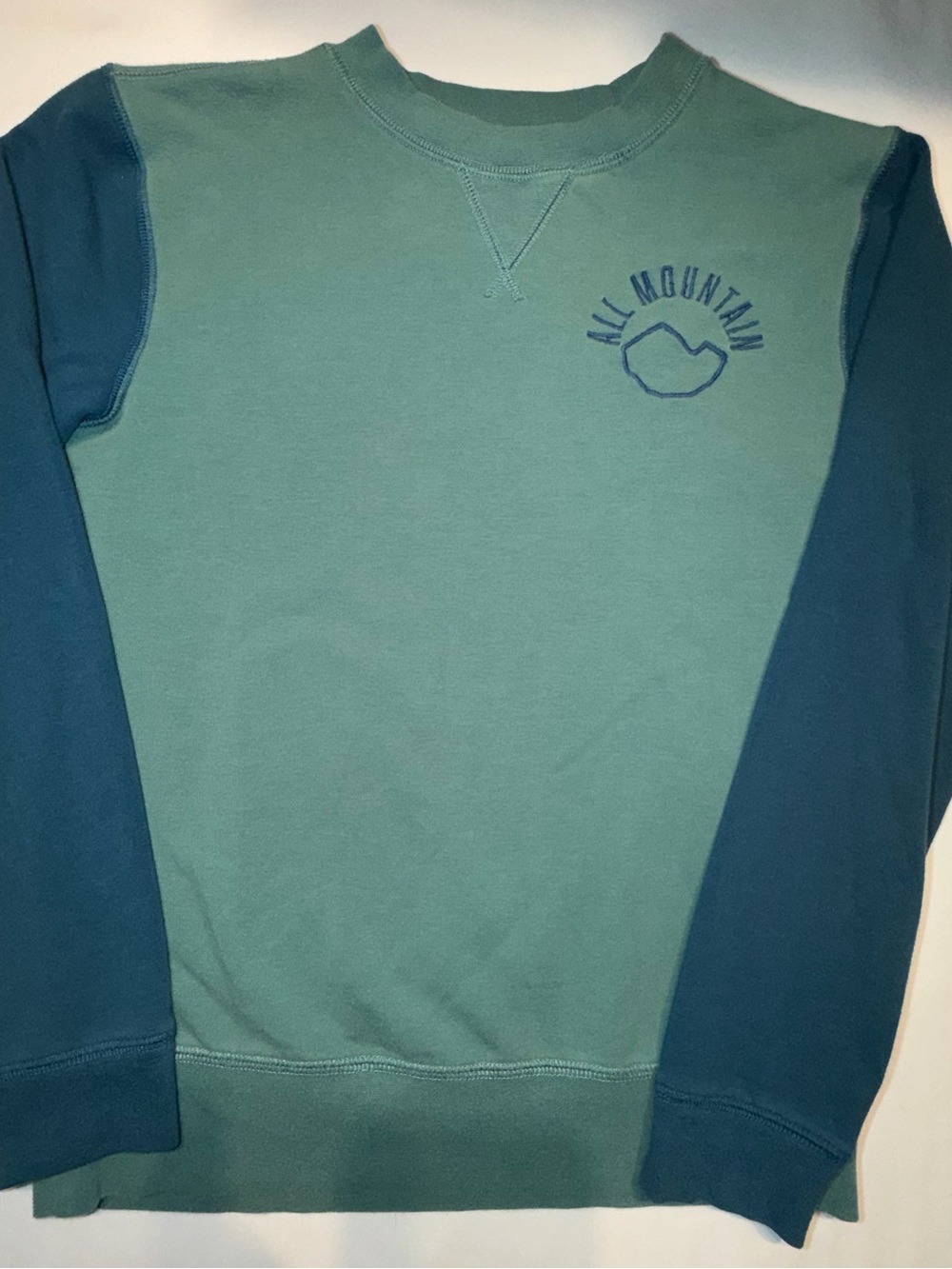 Boys Sweatshirt Nordstrom Two-Tone Blue & Forest Green Crewneck.         A29